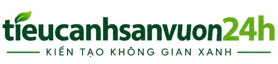 Trang web mới